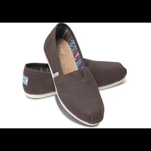 NWT Canvas Toms Ash Grey Sz8